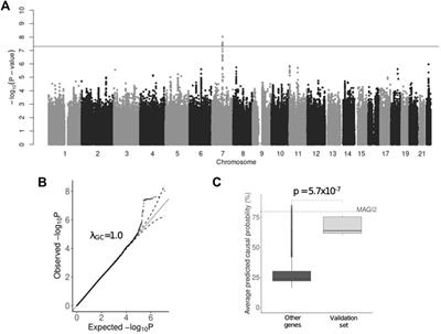 GWAS of depression in 4,520 individuals from the Russian population highlights the role of MAGI2 (S-SCAM) in the gut-brain axis